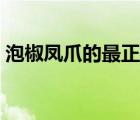 泡椒鳳爪的最正宗做法（泡椒的做法及配方）