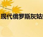 現(xiàn)代俄羅斯灰姑娘 插曲（現(xiàn)代俄羅斯灰姑娘）