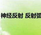 神經(jīng)反射 反射?。ㄉ窠?jīng)系統(tǒng)及反射弧的組成）