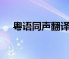 粵語同聲翻譯app（粵語翻譯在線翻譯）