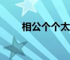 相公個個太腹黑（我的邪惡夫君們）