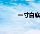 一寸白底證件照（黑白證件照）