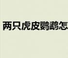 兩只虎皮鸚鵡怎么訓(xùn)練（虎皮鸚鵡怎么訓(xùn)練）