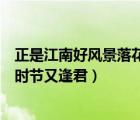 正是江南好風(fēng)景落花時(shí)節(jié)又逢君全詩(shī)（正是江南好風(fēng)景落花時(shí)節(jié)又逢君）
