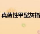 真菌性甲型灰指甲前期（真菌性甲型灰指甲）