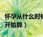 懷孕從什么時候開始算起的（懷孕從什么時候開始算）