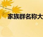 家族群名稱大全霸氣（家族群名稱大全）