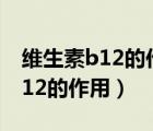 維生素b12的作用與功效吃法大全（維生素B12的作用）