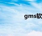 gms軟件購買（gms軟件）