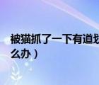 被貓抓了一下有道劃痕怎么辦?。ū回堊チ艘幌掠械绖澓墼趺崔k）
