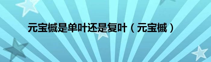 元寶槭是單葉還是復(fù)葉（元寶槭）