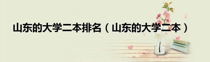山東的大學(xué)二本排名（山東的大學(xué)二本）