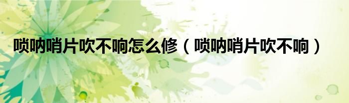 嗩吶哨片吹不響怎么修（嗩吶哨片吹不響）