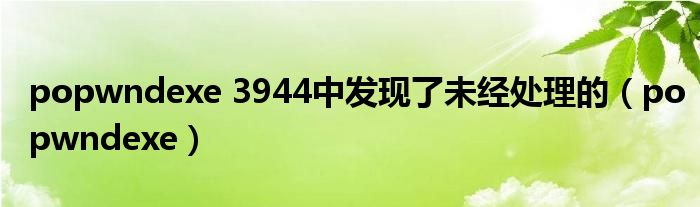 popwndexe 3944中發(fā)現(xiàn)了未經(jīng)處理的（popwndexe）