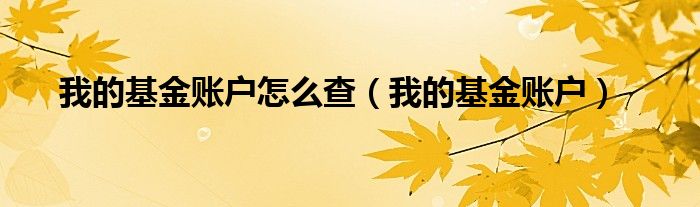 我的基金賬戶怎么查（我的基金賬戶）
