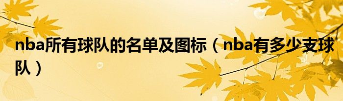 nba所有球隊(duì)的名單及圖標(biāo)（nba有多少支球隊(duì)）