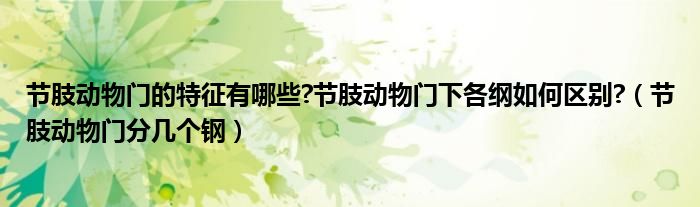 節(jié)肢動(dòng)物門的特征有哪些?節(jié)肢動(dòng)物門下各綱如何區(qū)別?（節(jié)肢動(dòng)物門分幾個(gè)鋼）