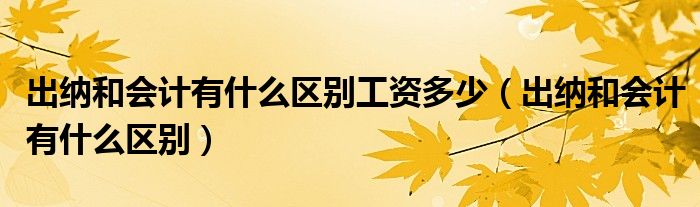出納和會(huì)計(jì)有什么區(qū)別工資多少（出納和會(huì)計(jì)有什么區(qū)別）