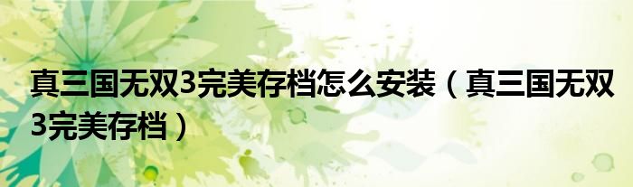 真三國(guó)無(wú)雙3完美存檔怎么安裝（真三國(guó)無(wú)雙3完美存檔）