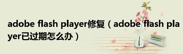 adobe flash player修復（adobe flash player已過期怎么辦）