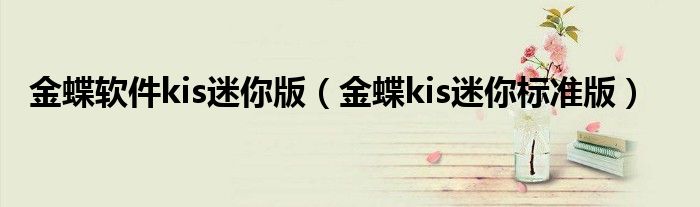 金蝶軟件kis迷你版（金蝶kis迷你標(biāo)準(zhǔn)版）
