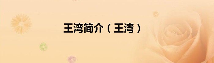 王灣簡介（王灣）