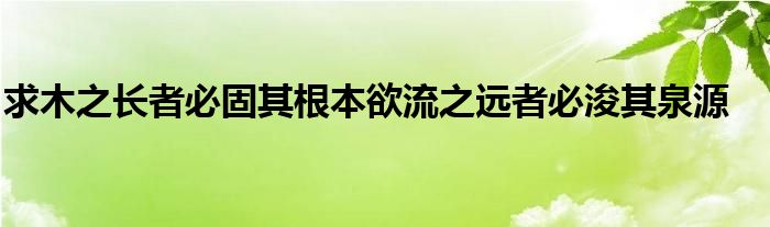 求木之長者必固其根本欲流之遠(yuǎn)者必浚其泉源