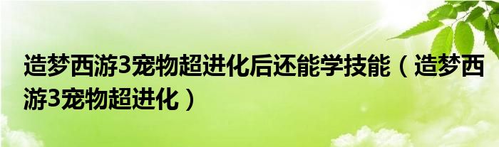 造夢西游3寵物超進(jìn)化后還能學(xué)技能（造夢西游3寵物超進(jìn)化）