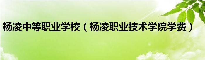 楊凌中等職業(yè)學校（楊凌職業(yè)技術學院學費）