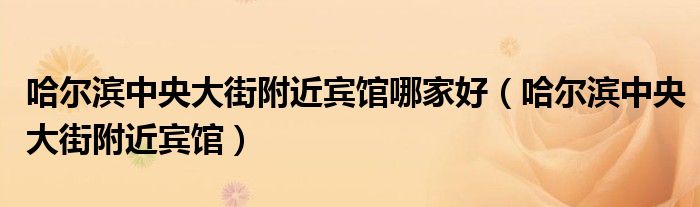哈爾濱中央大街附近賓館哪家好（哈爾濱中央大街附近賓館）