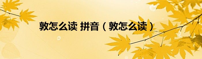 敦怎么讀 拼音（敦怎么讀）