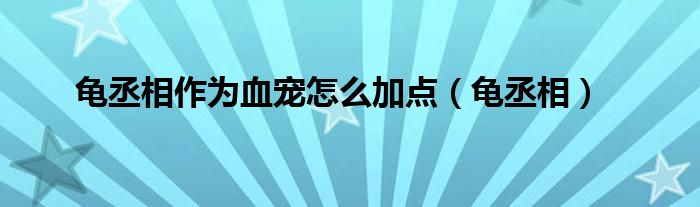 龜丞相作為血寵怎么加點(diǎn)（龜丞相）