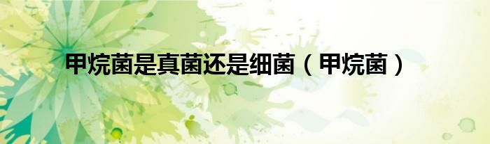 甲烷菌是真菌還是細(xì)菌（甲烷菌）
