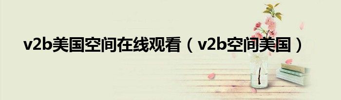 v2b美國空間在線觀看（v2b空間美國）