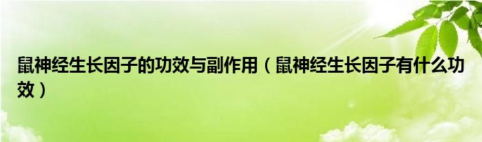 鼠神經(jīng)生長(zhǎng)因子的功效與副作用（鼠神經(jīng)生長(zhǎng)因子有什么功效）