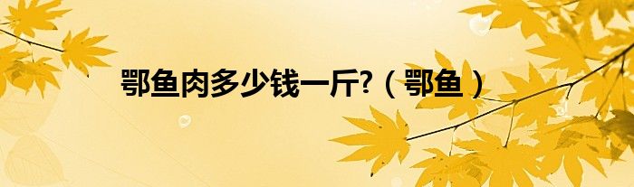 鄂魚肉多少錢一斤?（鄂魚）