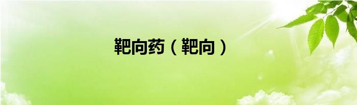 靶向藥（靶向）