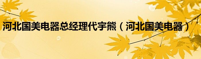 河北國美電器總經(jīng)理代宇熊（河北國美電器）