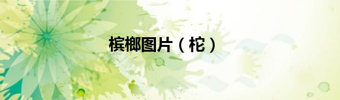 檳榔圖片（柁）