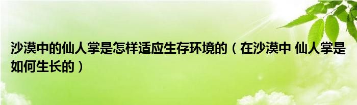 沙漠中的仙人掌是怎樣適應生存環(huán)境的（在沙漠中 仙人掌是如何生長的）