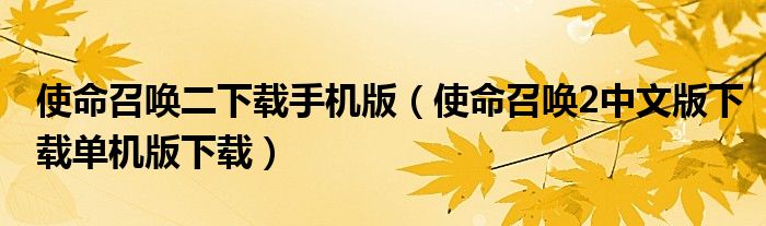 使命召喚二下載手機(jī)版（使命召喚2中文版下載單機(jī)版下載）