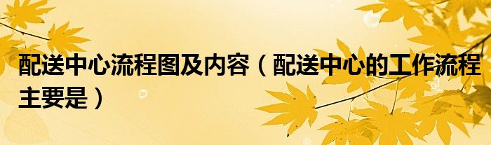 配送中心流程圖及內(nèi)容（配送中心的工作流程主要是）