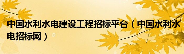 中國水利水電建設工程招標平臺（中國水利水電招標網(wǎng)）
