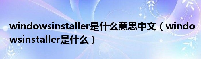 windowsinstaller是什么意思中文（windowsinstaller是什么）