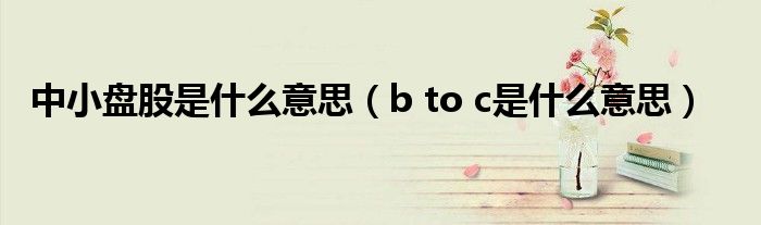 中小盤股是什么意思（b to c是什么意思）