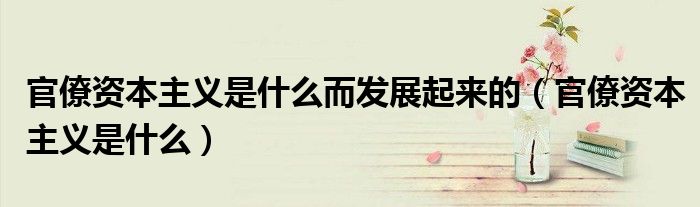 官僚資本主義是什么而發(fā)展起來(lái)的（官僚資本主義是什么）