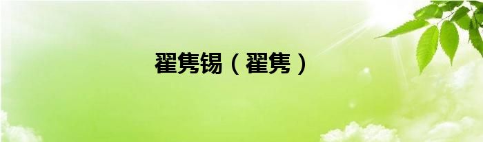 翟雋錫（翟雋）