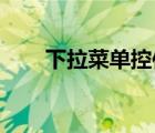 下拉菜單控件 英文（下拉菜單英文）
