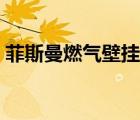 菲斯曼燃?xì)獗趻鞝t官網(wǎng)（奧蘭多燃?xì)獗趻鞝t）