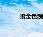 暗金色魂環(huán)是多少年（暗金色）
